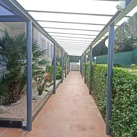 Paraiso