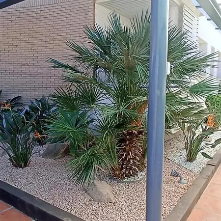 Apartment Paraiso Miami Playa